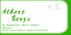 albert berzi business card